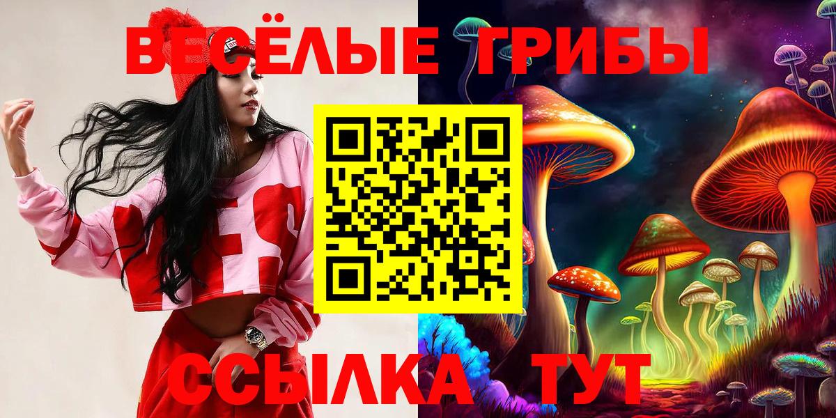 Галлюциногенные грибы прущие грибы Новочебоксарск