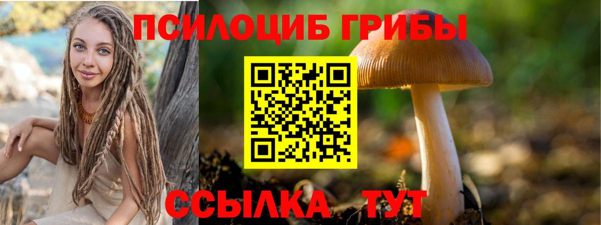наркошоп  Галлюциногенные грибы GOLDEN TEACHER  Вход с VPN  Новочебоксарск  Псилоцибиновые грибы мицелий 